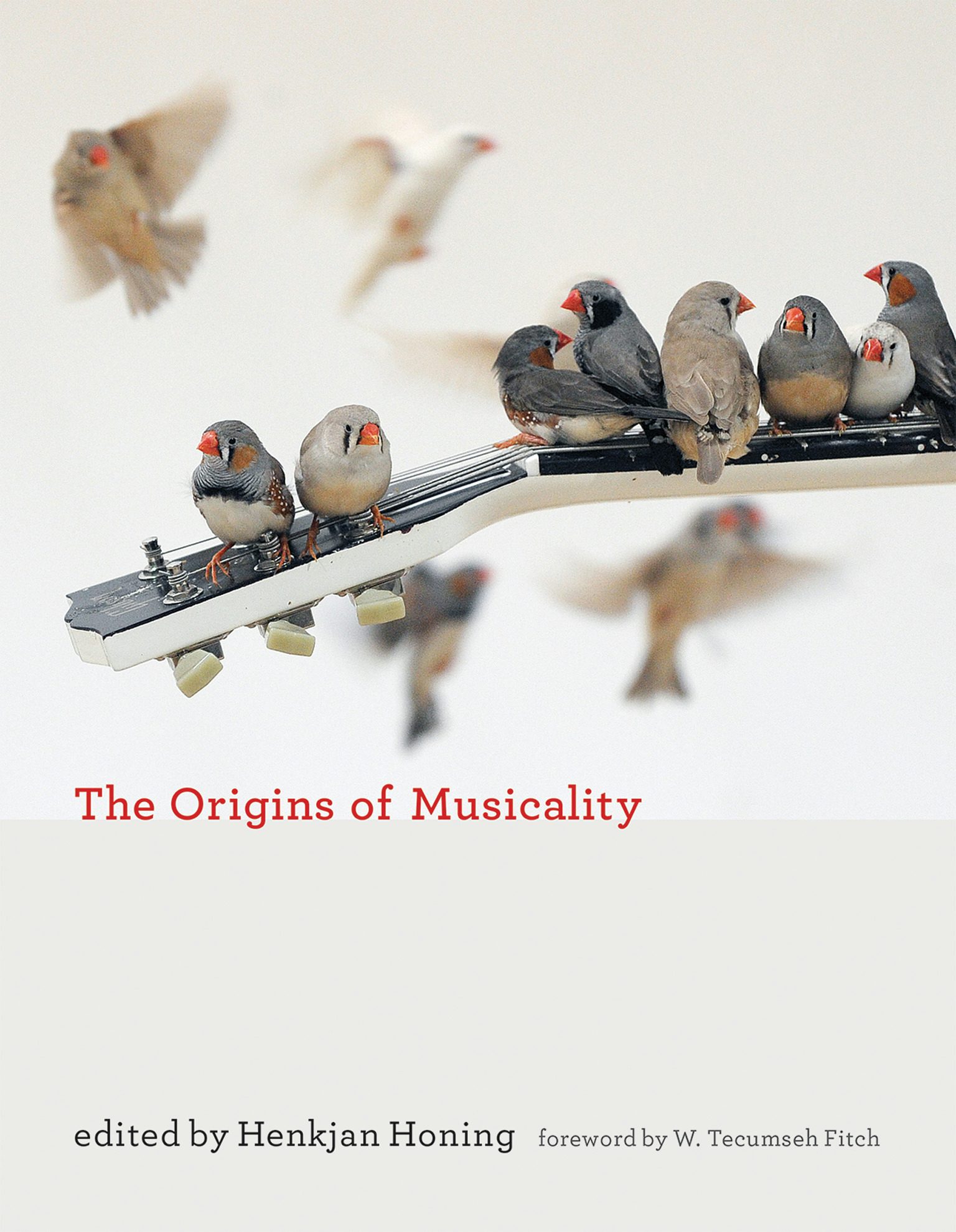 The Origins Of Musicality